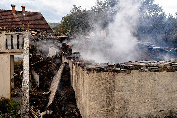 Affordable Odor Removal solutions in Dassel, MN