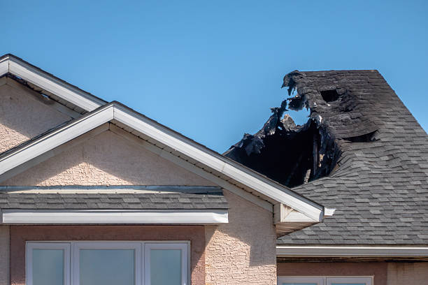 Top rated local Odor Removal specialists in Dassel, MN